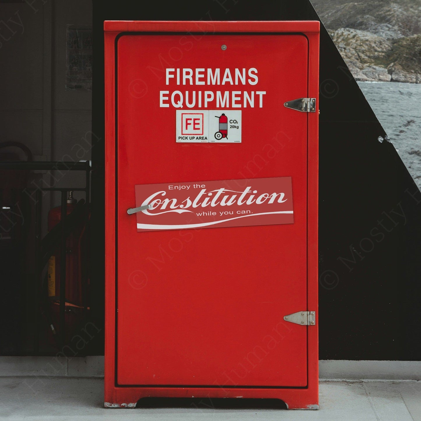 Enjoy the Constitution While You Can | | Mostly Human