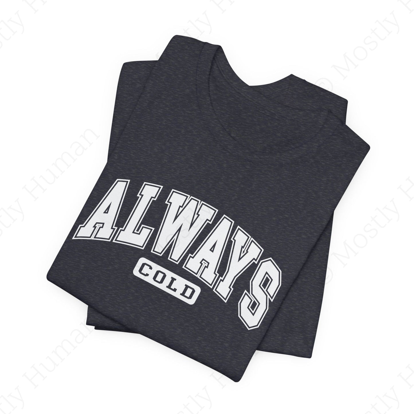 Always Cold | Heather Navy Unisex | Mostly Human