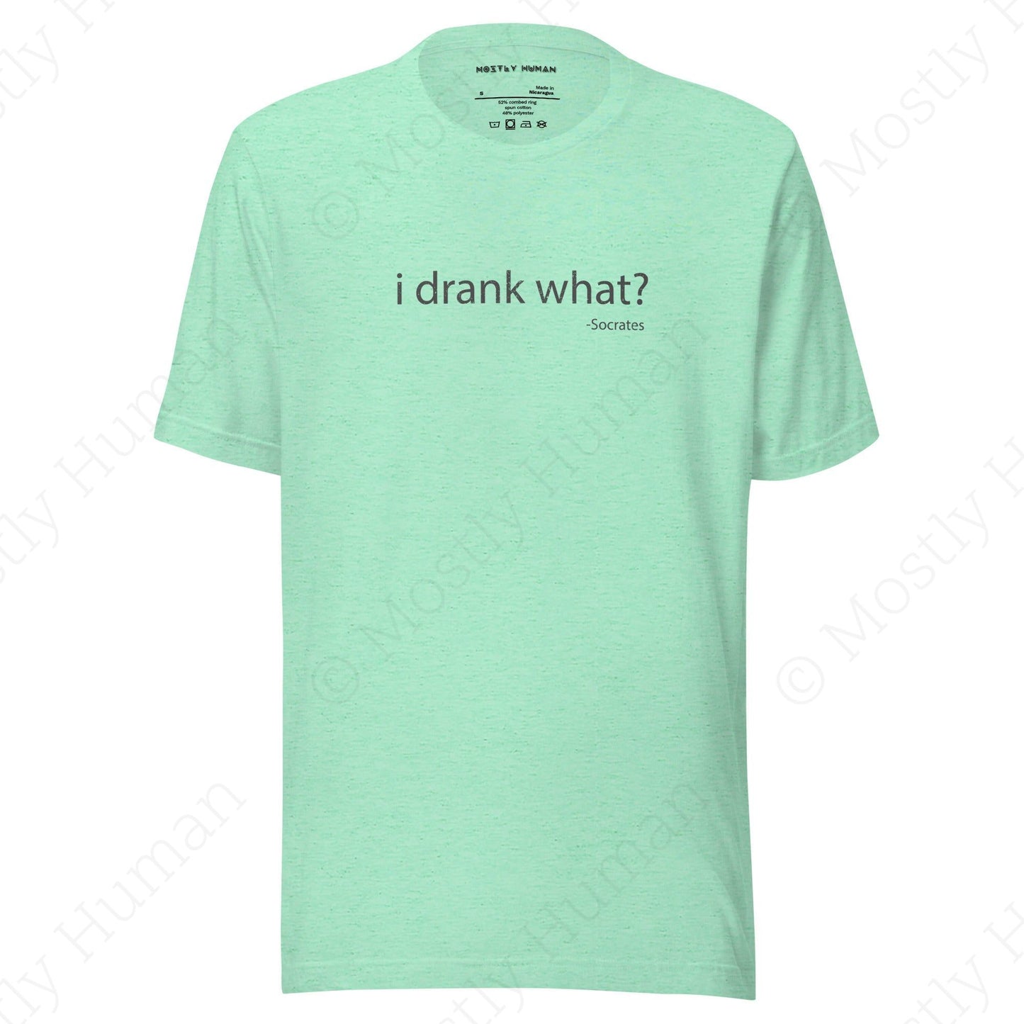 I Drank What? Light Colors | Heather Mint Unisex | Mostly Human