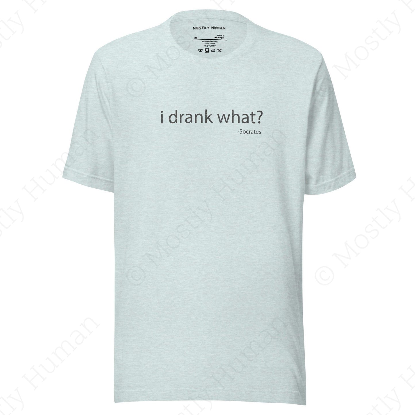 I Drank What? Light Colors | Heather Prism Ice Blue Unisex | Mostly Human