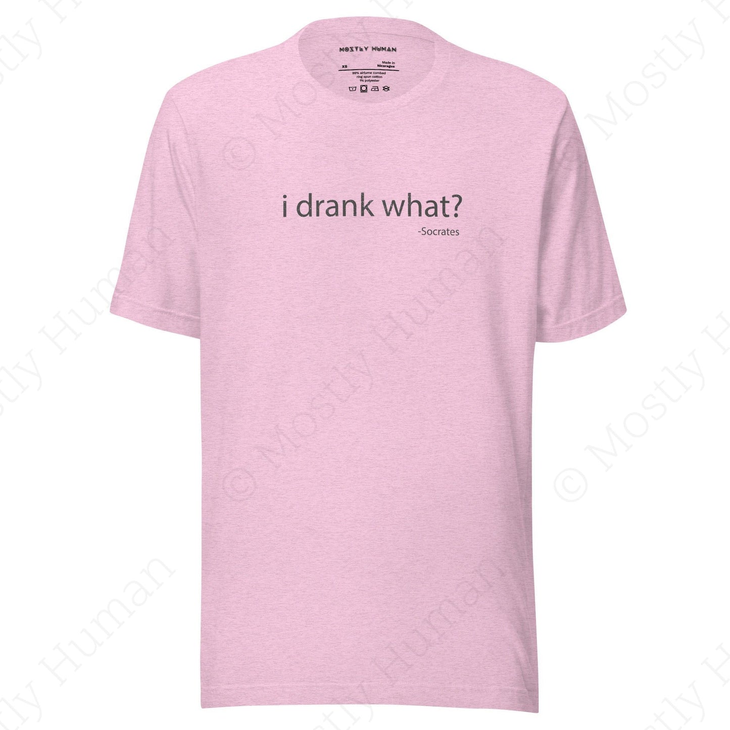 I Drank What? Light Colors | Heather Prism Lilac Unisex | Mostly Human