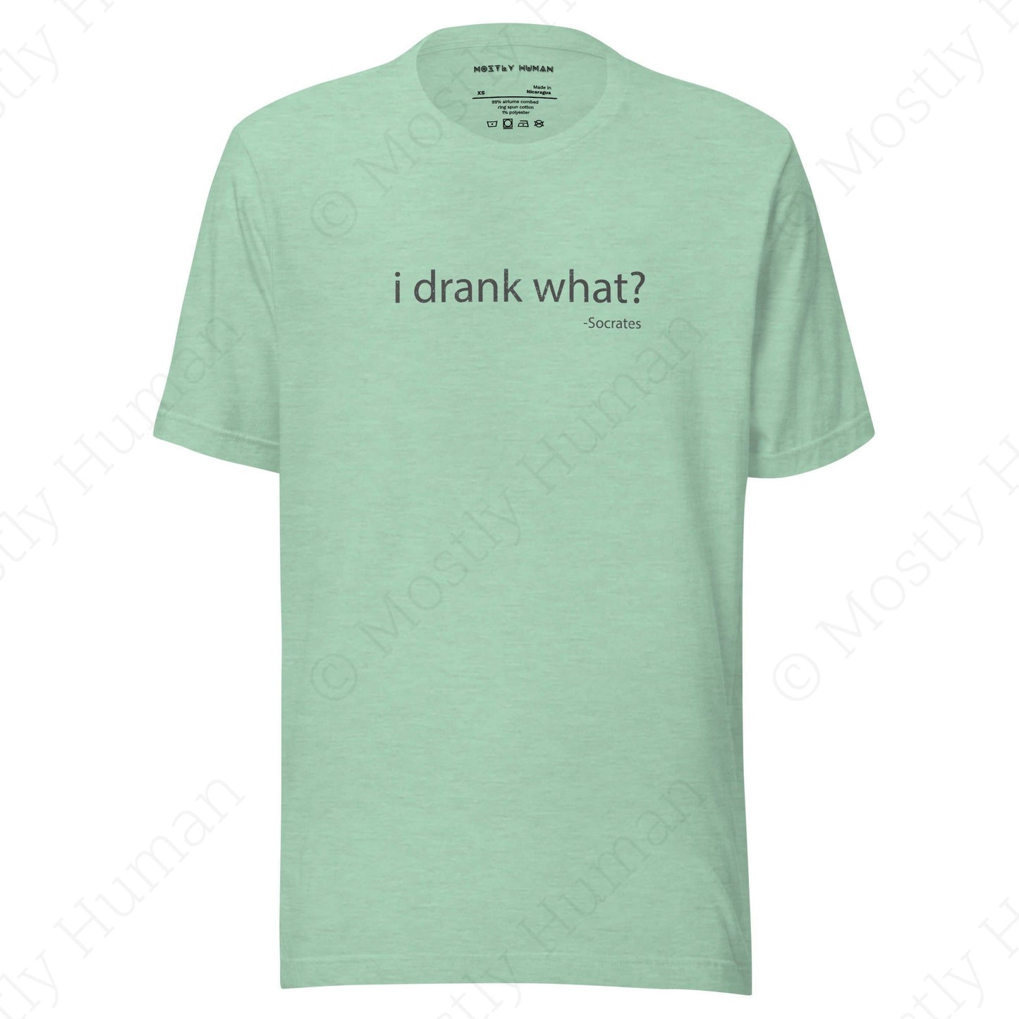 I Drank What? Light Colors | Heather Prism Mint Unisex | Mostly Human