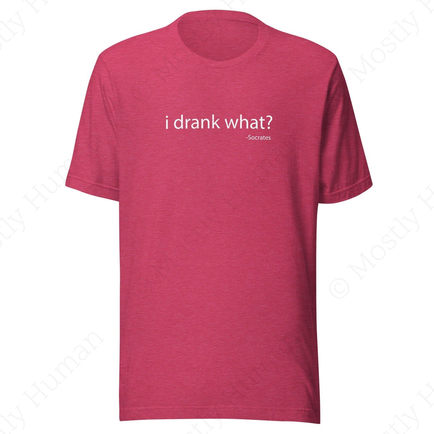 I Drank What? Dark Colors | Heather Raspberry Unisex | Mostly Human