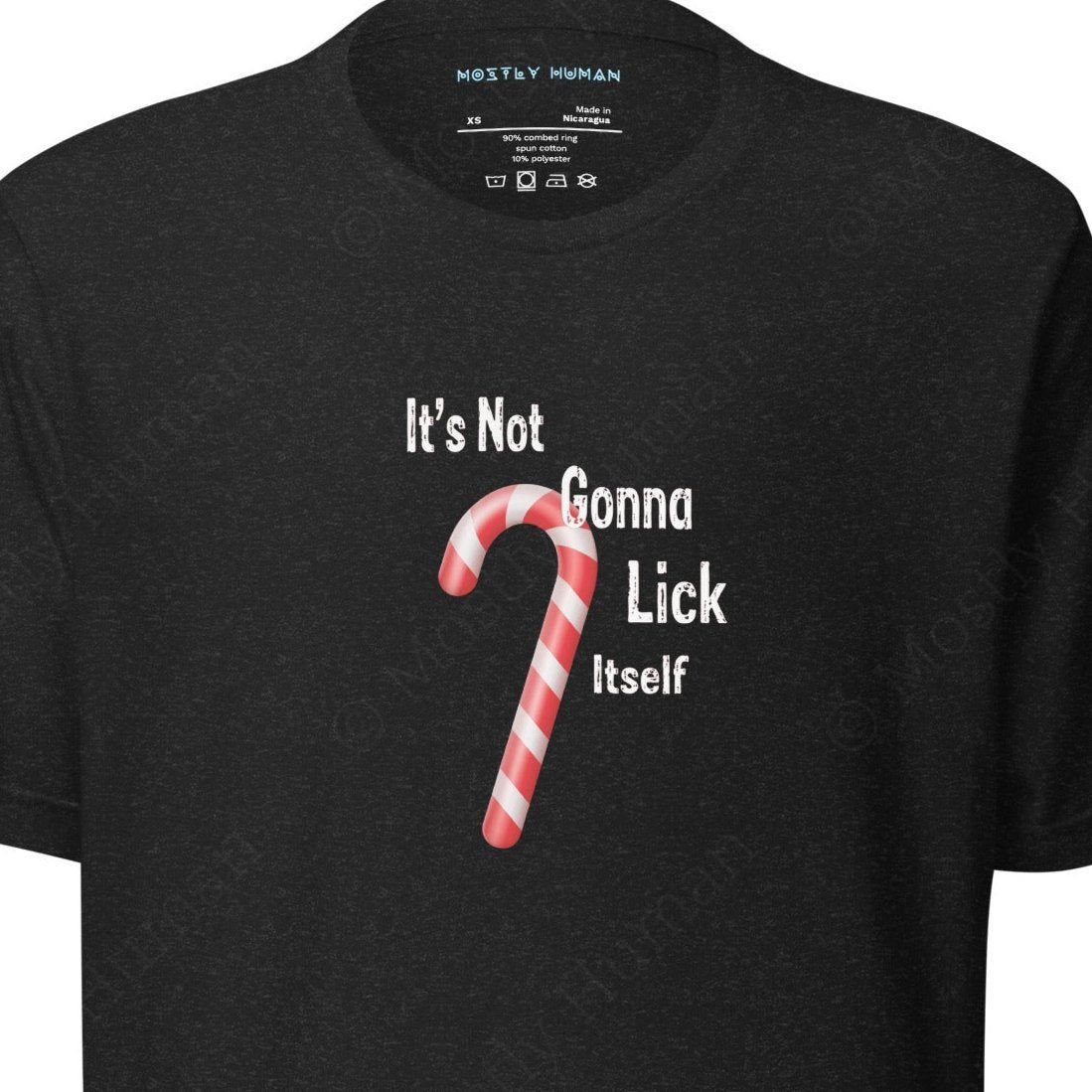 It's Not Gonna Lick Itself | Black Heather Unisex | Mostly Human